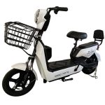 BICICLETA ELECTRICA GOES MOTORS GOGO MOTO