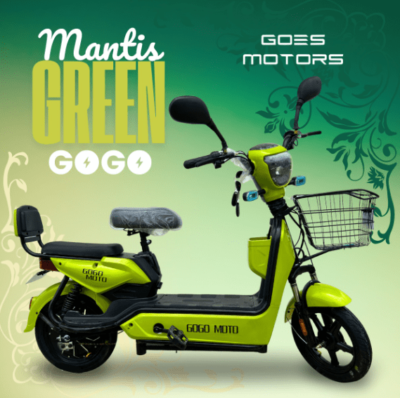 BICICLETA ELECTRICA GOES MOTORS GOGO MOTO VERDE
